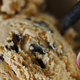 Close-up scoop of coffee ice cream with chocolate mix-ins